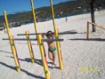 /album/galeria-de-fotos%3a-n%c3%a3o-tenho-ouro-nem-prata%2cmas-trago-o-que-tenho-de-mais-precioso%2c-jesus-cristo-/a189033-133264723497132-1046621036-n-jpg/